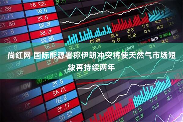 尚红网 国际能源署称伊朗冲突将使天然气市场短缺再持续两年